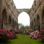 L'abbaye de Beauport - espaces fleuris