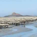 Les Huîtres bretonnes de Port Lazo