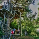Cabane dans les arbres