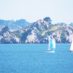 Sortie en bateau dans la baie