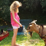 Image de votre camping Paimpol